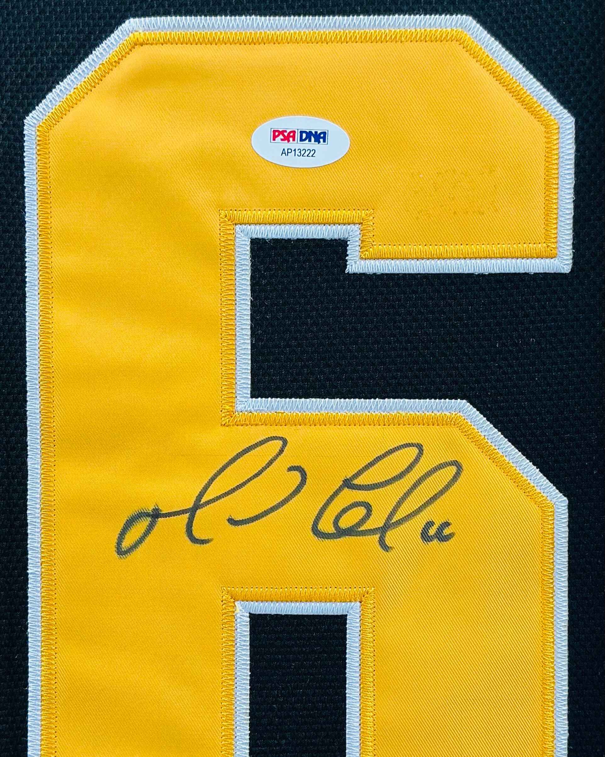 Pittsburgh Penguins Mario Lemieux Signed Jersey Framed