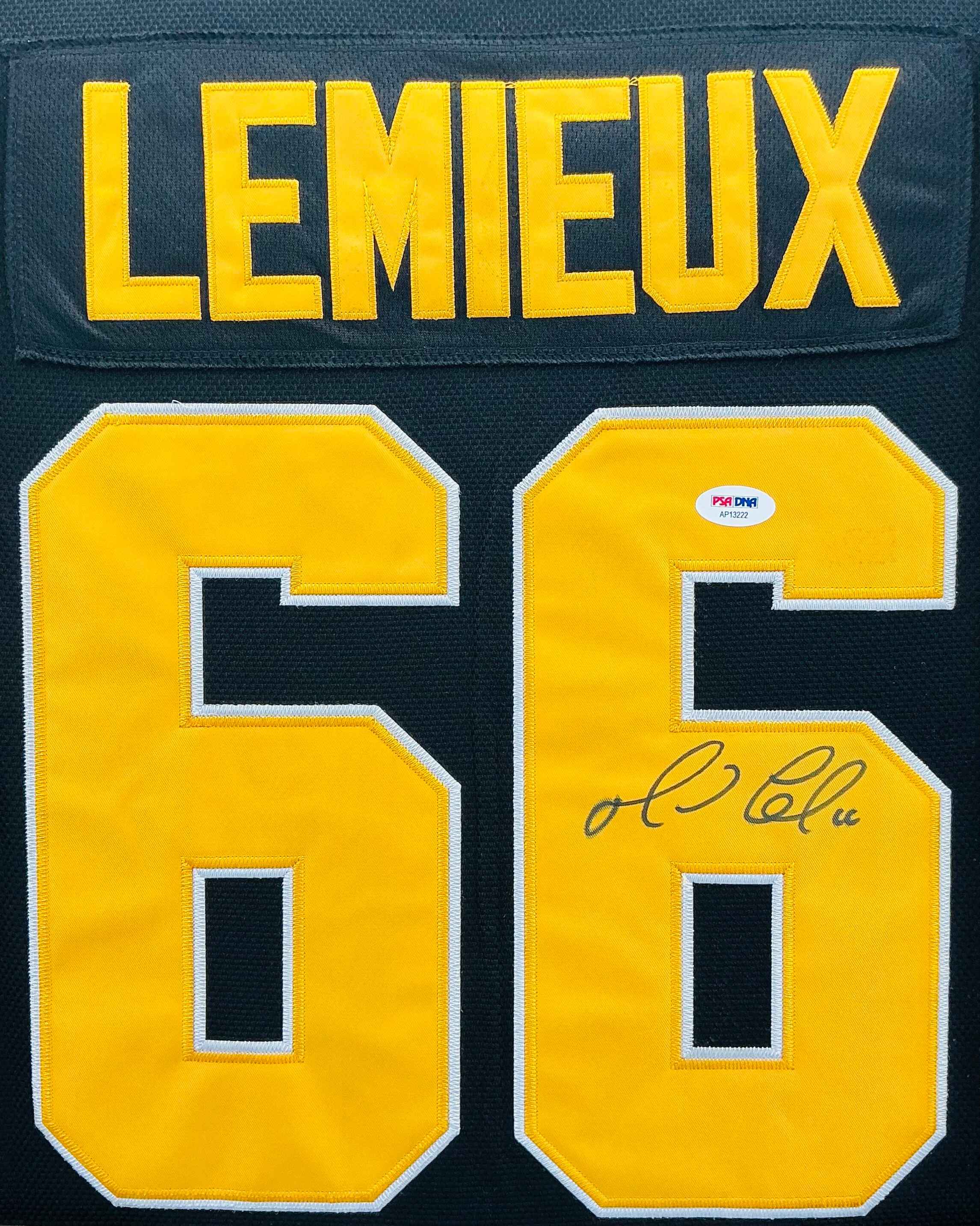 Pittsburgh Penguins Mario Lemieux Signed Jersey Framed